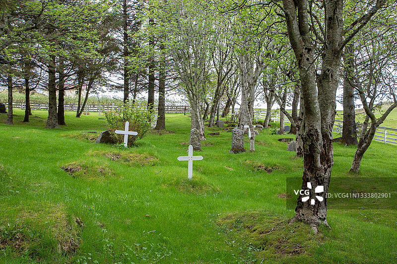 在教堂附近郁郁葱葱的绿色桦树林中，墓地里的十字架和墓碑的广角镜头图片素材