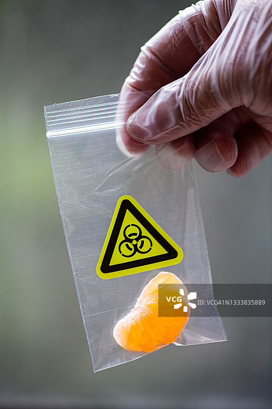 戴乳胶手套的男人手持装在带生物危害警告标志塑料袋中的橘子图片素材