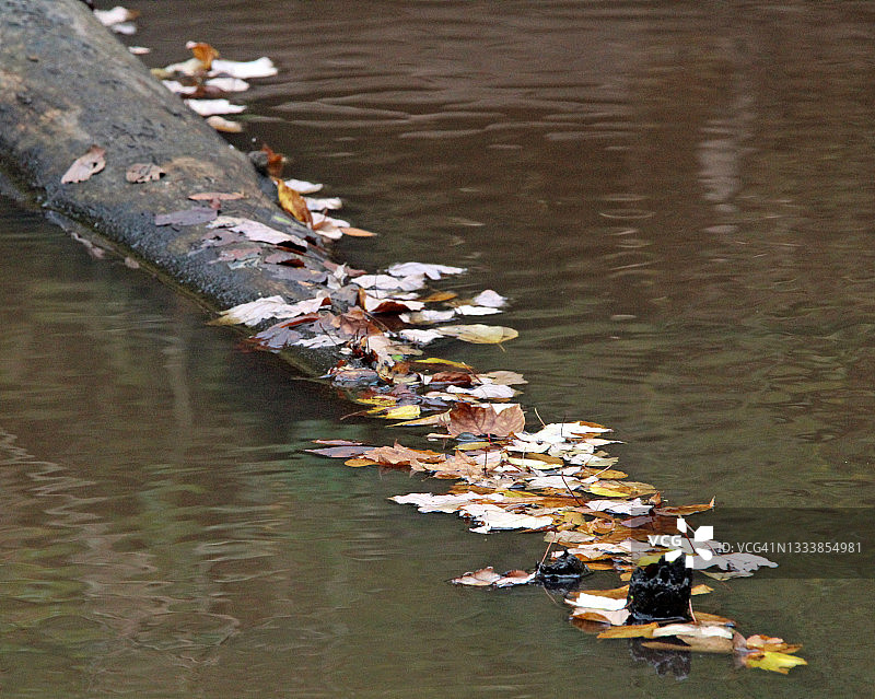 小让州立公园图片素材