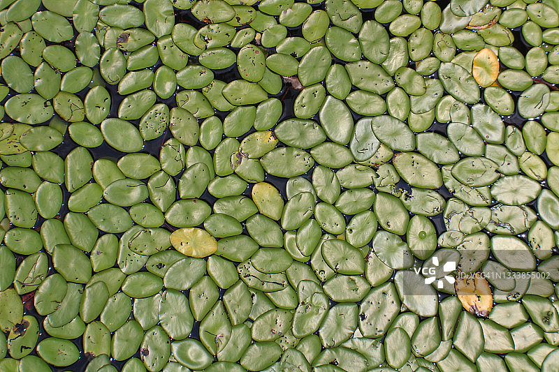 小让州立公园图片素材