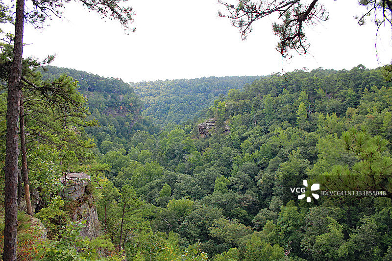 小让州立公园图片素材