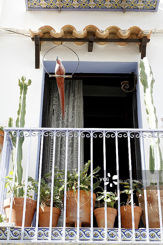 用天竺葵和植物装饰阳台的花盆图片素材