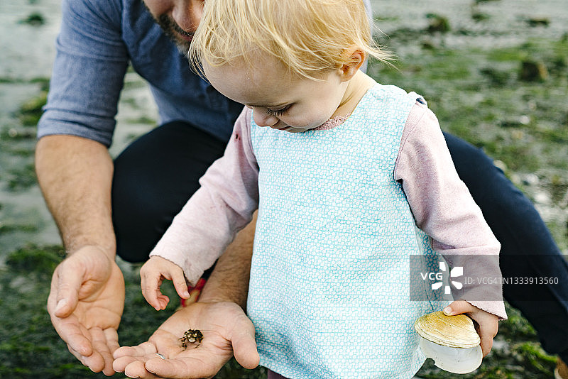 小女孩从爸爸手中抓螃蟹特写图片素材