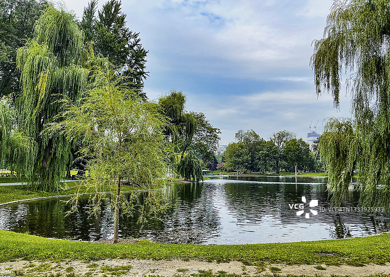 夏季的波士顿公园/波士顿公共花园图片素材