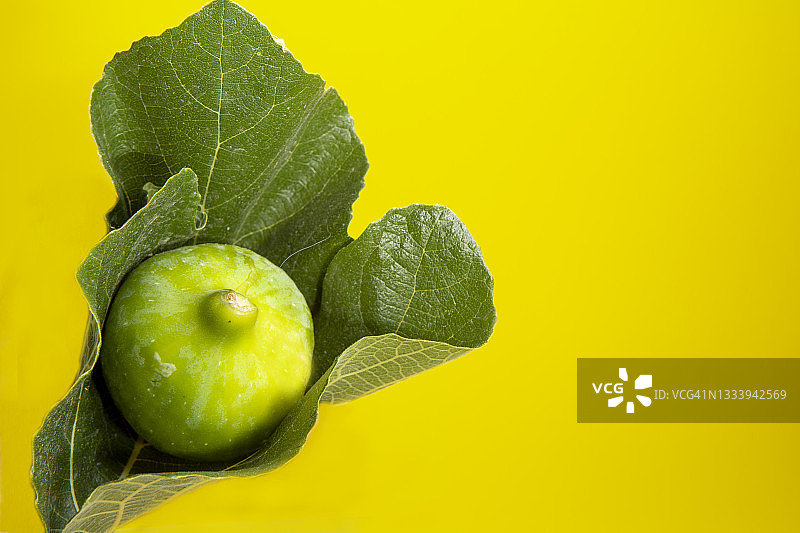 用无花果叶包裹的无花果图片素材