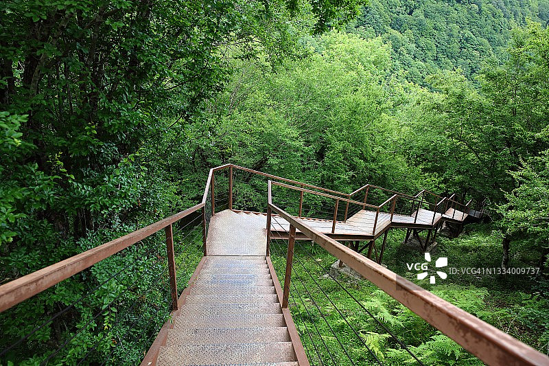 峡谷中穿过绿色森林的老旧生锈金属人行道图片素材