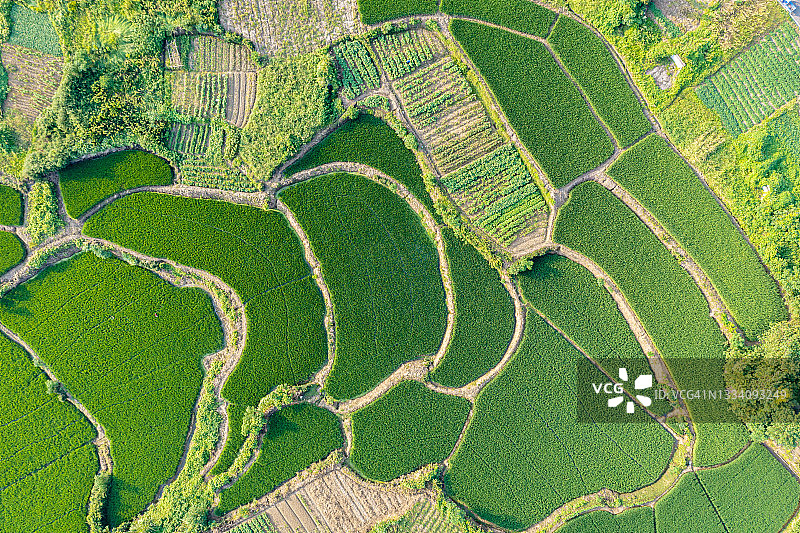 稻田与乡村图片素材