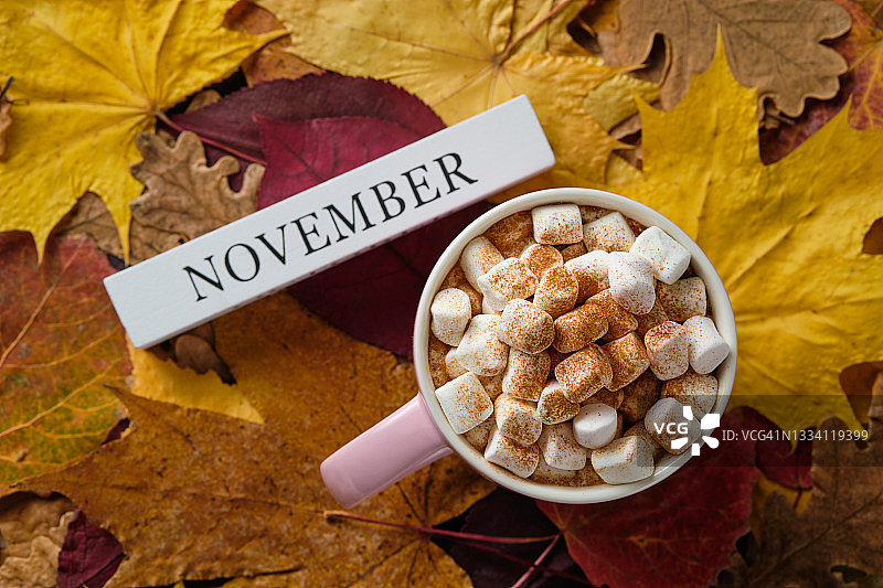 秋叶背景上的“十一月”与热饮图片素材