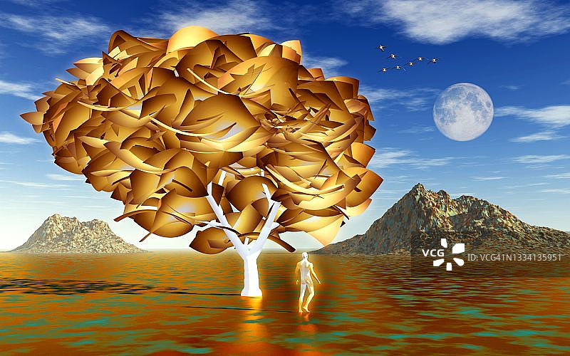 圣经中的知识之树图片素材