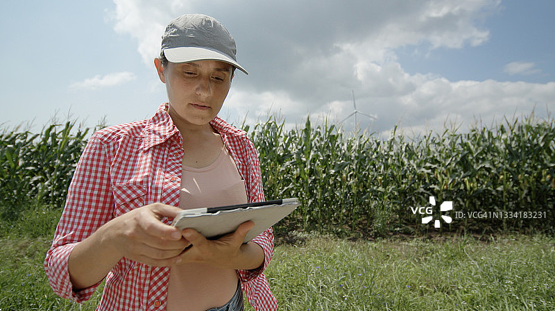 女农民在耕地上检查玉米植株，使用平板电脑，农业职业图片素材