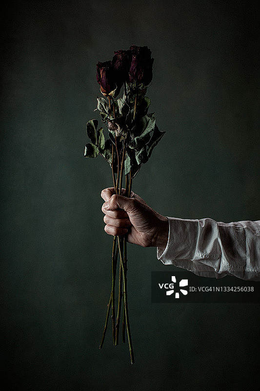 手持一束干玫瑰图片素材