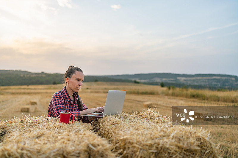 女农场主在农场草堆上用笔记本电脑图片素材