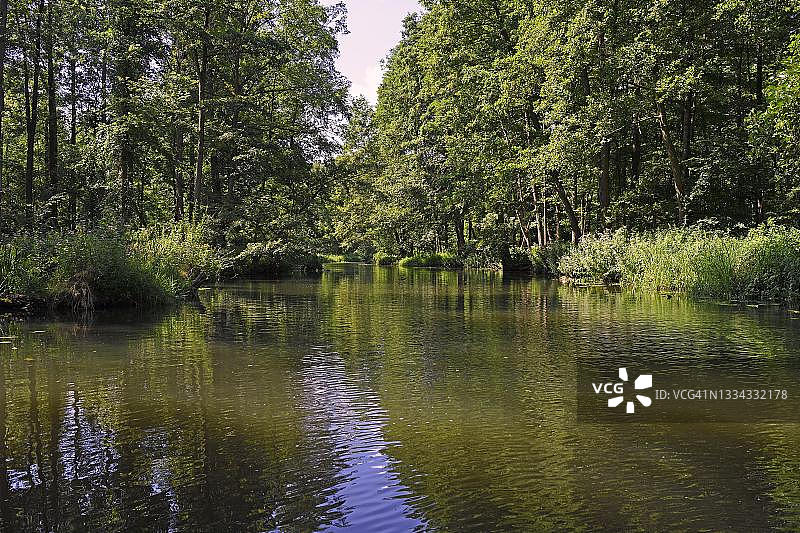 德国勃兰登堡州施莱普齐格附近的施普雷瓦尔德的田园河流图片素材