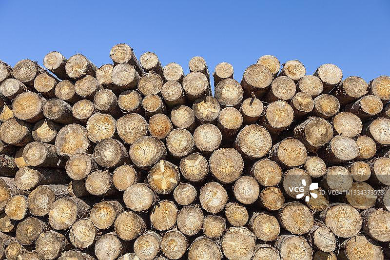 堆叠的树干，德国图片素材