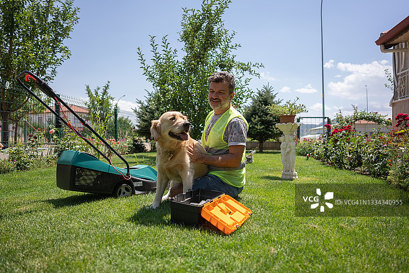 男修理工在花园里修理割草机时与金毛猎犬玩耍图片素材