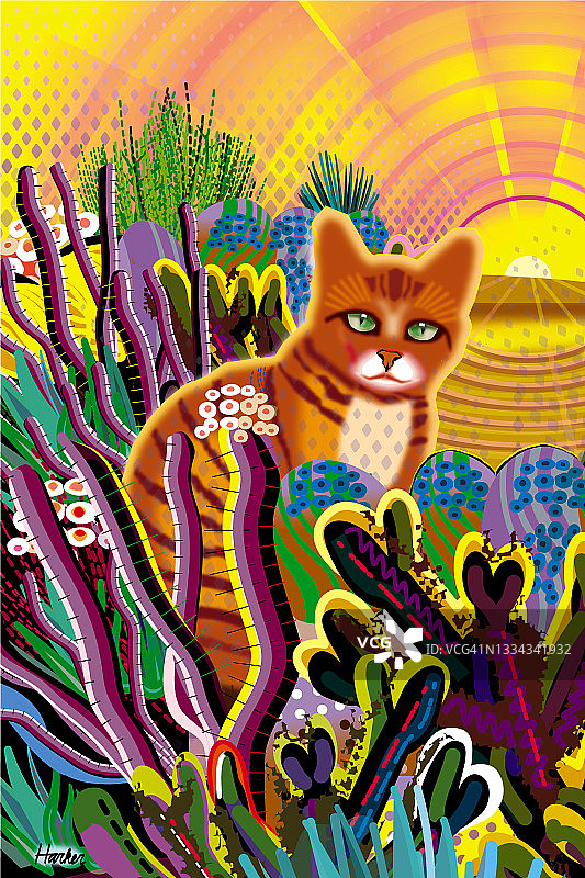 仙人掌花园日出奇幻插画中的橙色虎斑猫图片素材