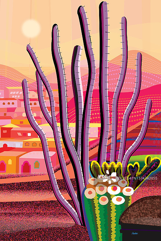 红色和粉色沙漠插画中的ocotillo植物、桶形仙人掌和Cholla仙人掌。远处有房屋和山脉。背景是朦胧的桃色日出。图片素材