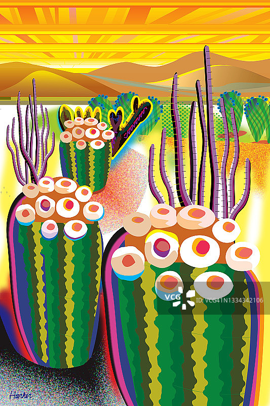 明亮的沙漠，仙人掌，远山景观插画图片素材