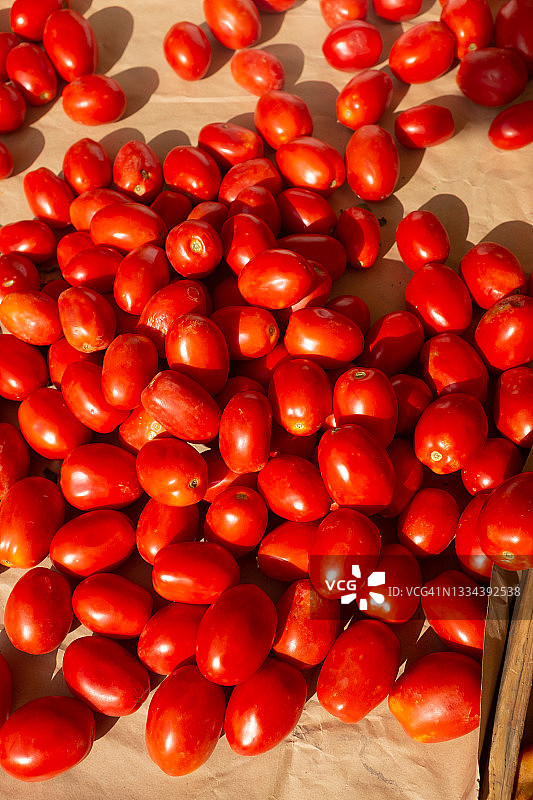 新鲜番茄图片素材