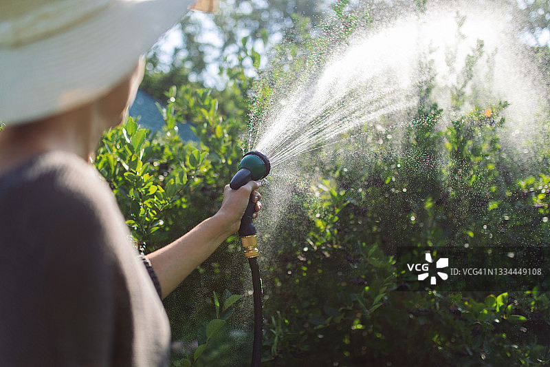 夏季呵护植物图片素材
