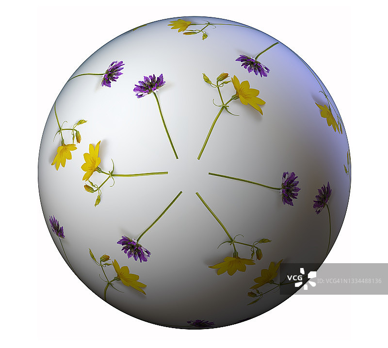 地球鲜花树木球体背景图片素材