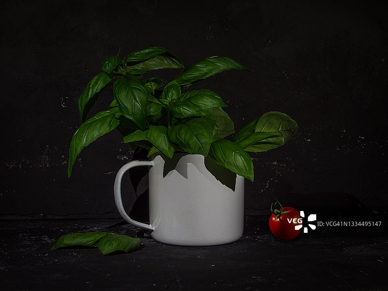杯子里的新鲜罗勒图片素材
