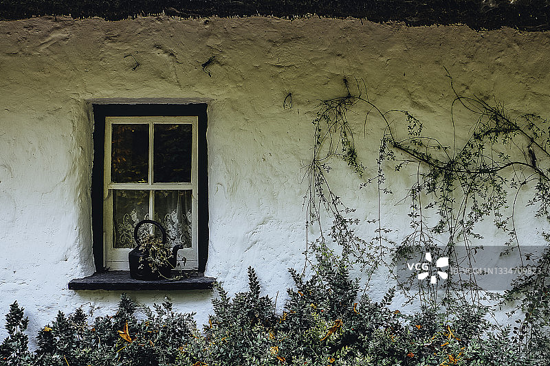 藤蔓缠绕的老旧石屋复古立面及特色窗户图片素材