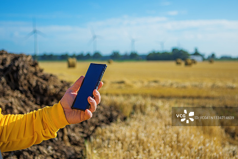荷兰的手机和收割的谷物田地图片素材