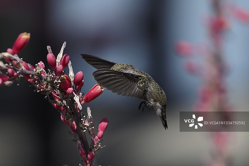 最高机密图片素材