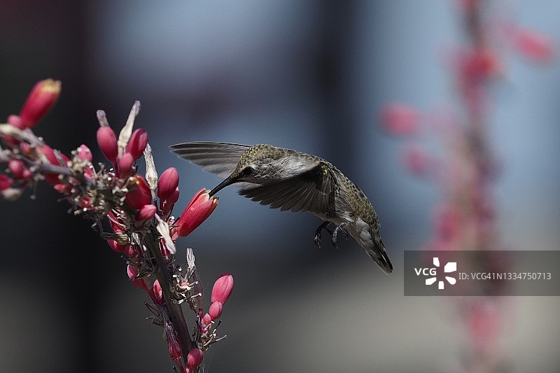 我的夏令营图片素材