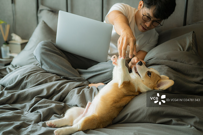 小狗打扰主人工作图片素材