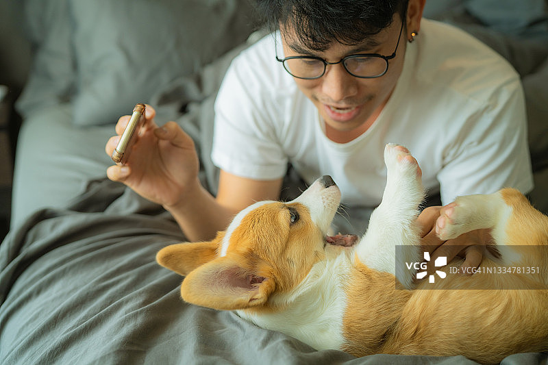 小狗打扰主人工作图片素材