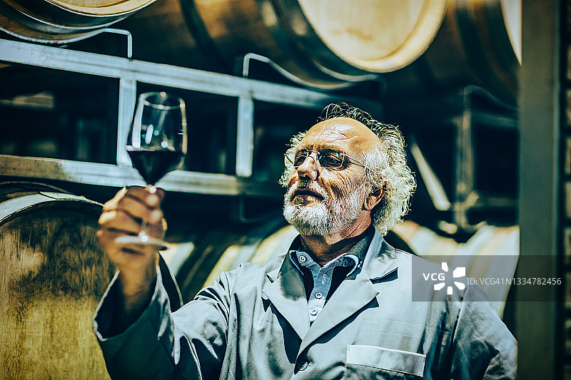 正在检查红酒质量的年长葡萄种植者图片素材