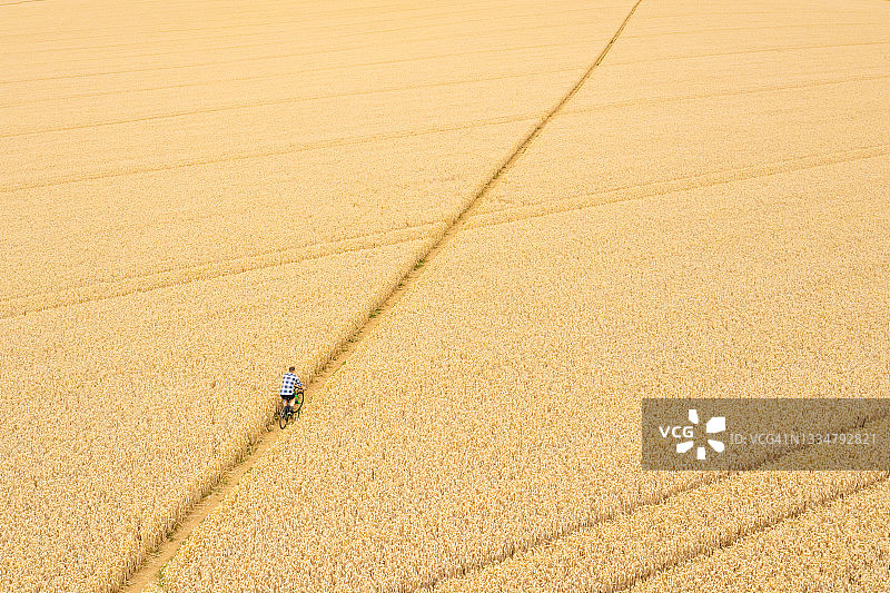 男人骑着砾石自行车在麦田小路上骑行图片素材