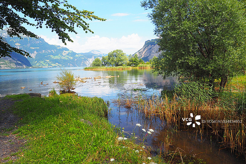琉森湖南部与罗伊斯河三角洲自然保护区图片素材