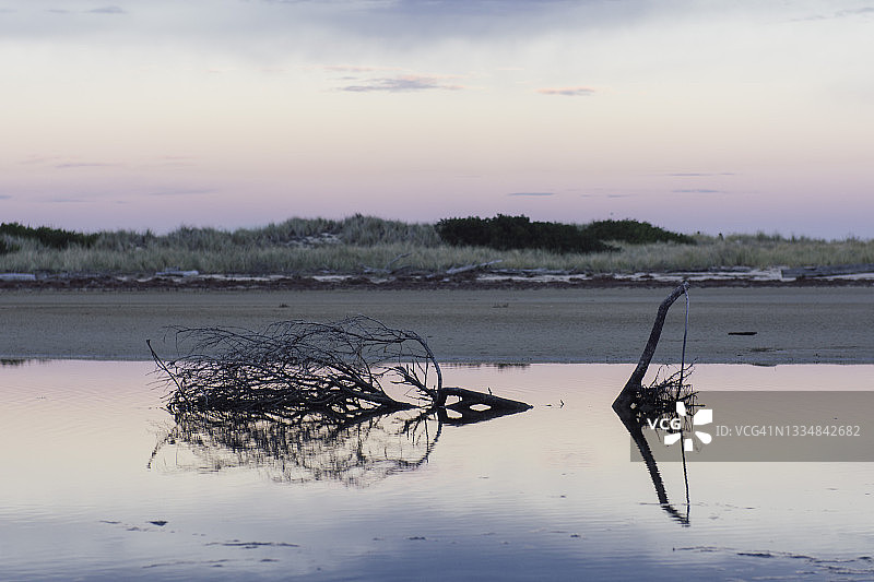 澳大利亚塔斯马尼亚粉色日落时分链状泻湖中的浮木倒影图片素材