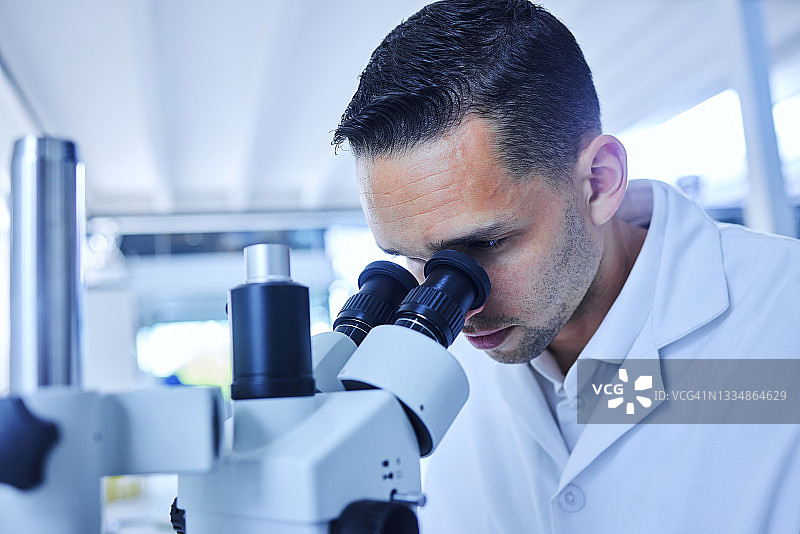 年轻男科学家在实验室用显微镜工作（局部）图片素材