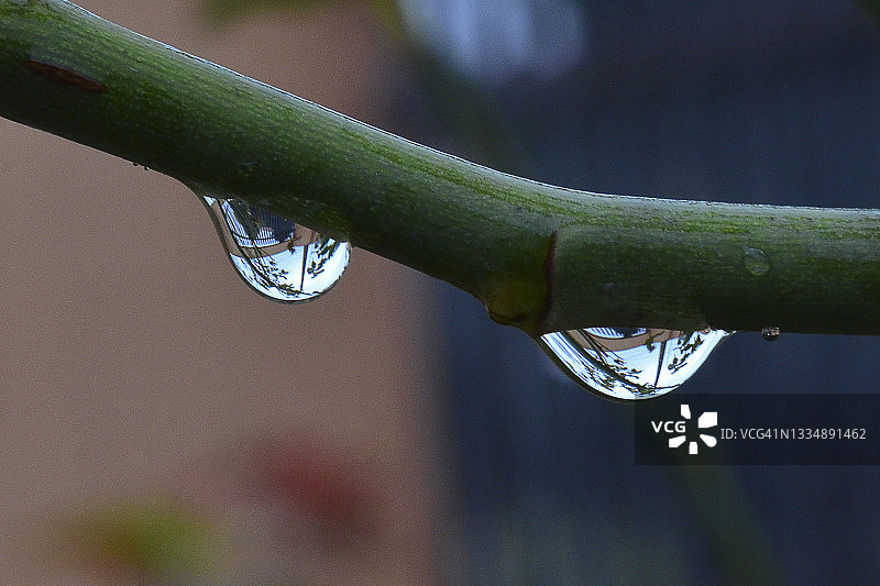 滴水图片素材