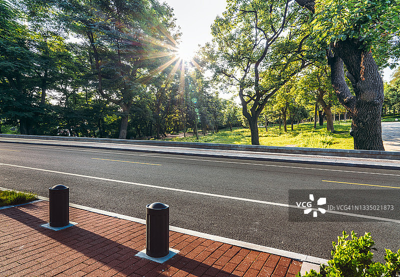 森林中的沥青路图片素材