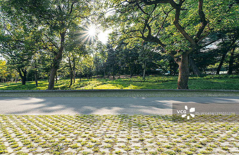 树荫下的停车场图片素材