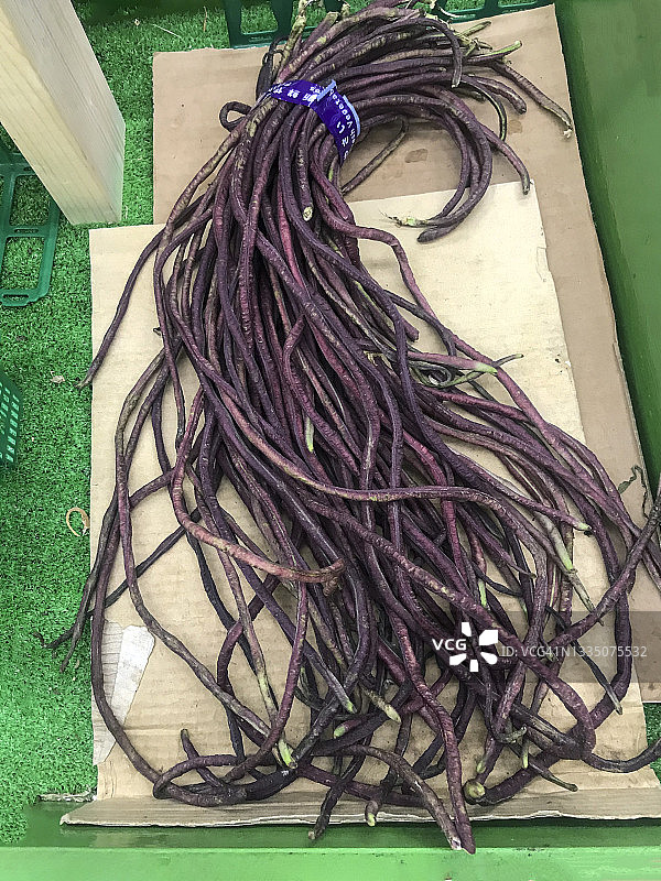 来自中国的紫色豇豆图片素材