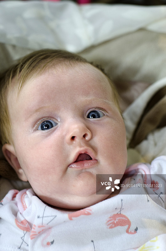 新生儿特写图片素材