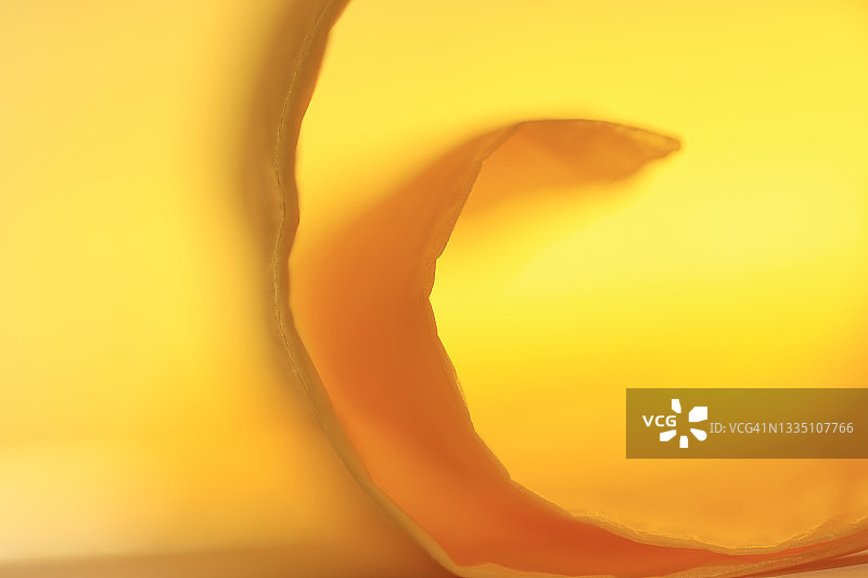 卷起的黄色纸张逆光，创造出充满活力的抽象图像图片素材