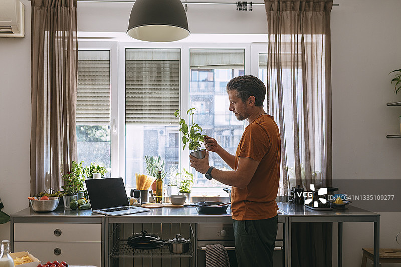 英俊的年轻男子在做饭时采摘罗勒叶图片素材
