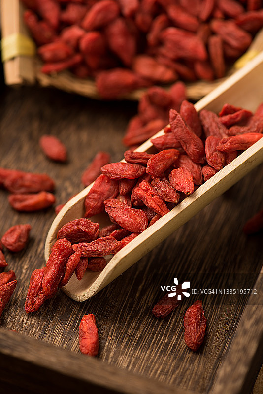 枸杞藤图片素材