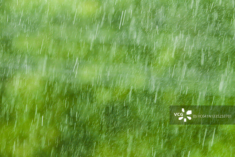 雨点重重地落在绿色的森林里图片素材