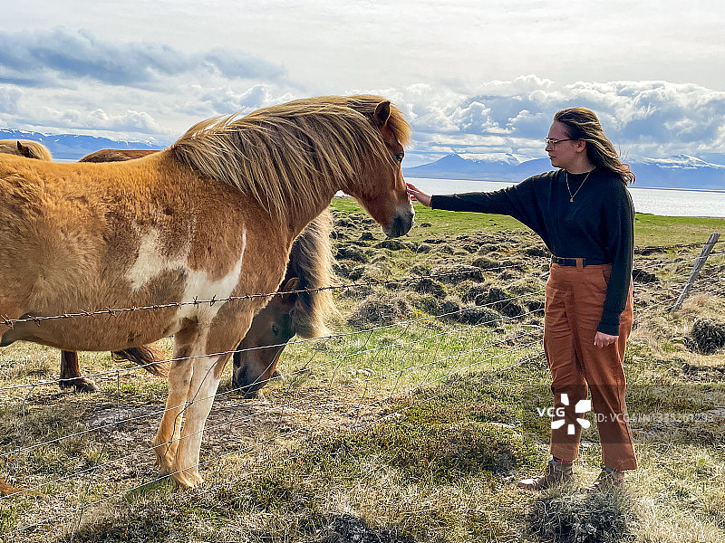 年轻女子在峡湾沿岸的广阔田野里抚摸冰岛马，背景是白雪皑皑的山脉和戏剧性的天空图片素材