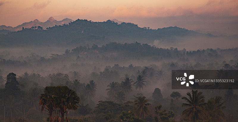 热带雨林中的晨雾图片素材