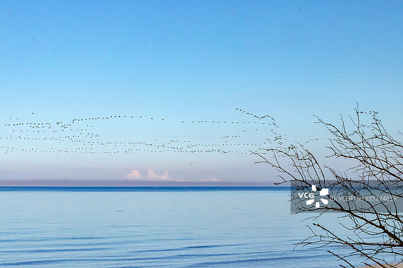 德国梅克伦堡-前波美拉尼亚达尔斯西海滩图片素材