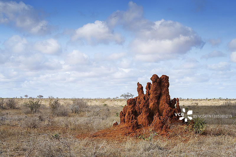 肯尼亚察沃东部国家公园蓝色天空下的深红色白蚁丘图片素材
